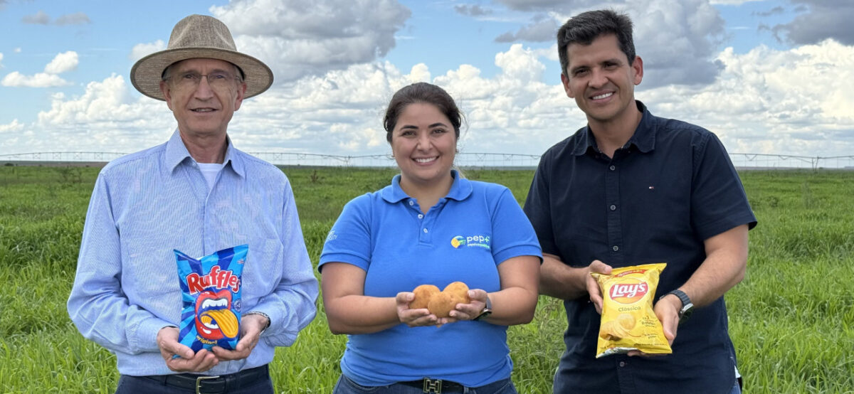 PepsiCo revoluciona cultivo de batatas com agricultura sustentável