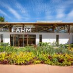 Chegou a Farm Dentro da Farm: com Tudo!