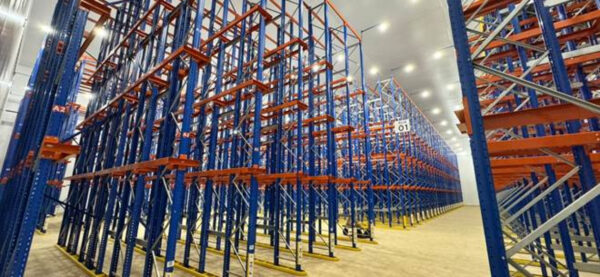 Perfetto investe R$15 mi e inova logística de congelados