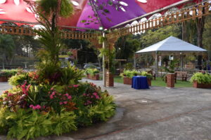 Várzea Paulista em festa: vem aí a inesquecível Festa das Orquídeas 2025!