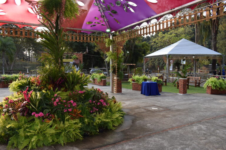 Várzea Paulista em festa: vem aí a inesquecível Festa das Orquídeas 2025!