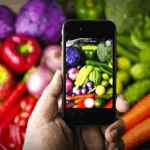 Varejo alimentar em transformação: dados como motor de eficiência e sustentabilidade