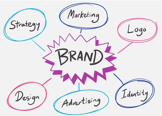 Marca Forte e Margem Alta: Estratégia de Canais no Varejo