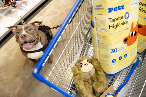 O futuro do mercado pet está no consumidor emocional