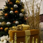 A Magia do Natal Chega ao Shopping West Plaza com a Parada Natalina e a Chegada do Papai Noel