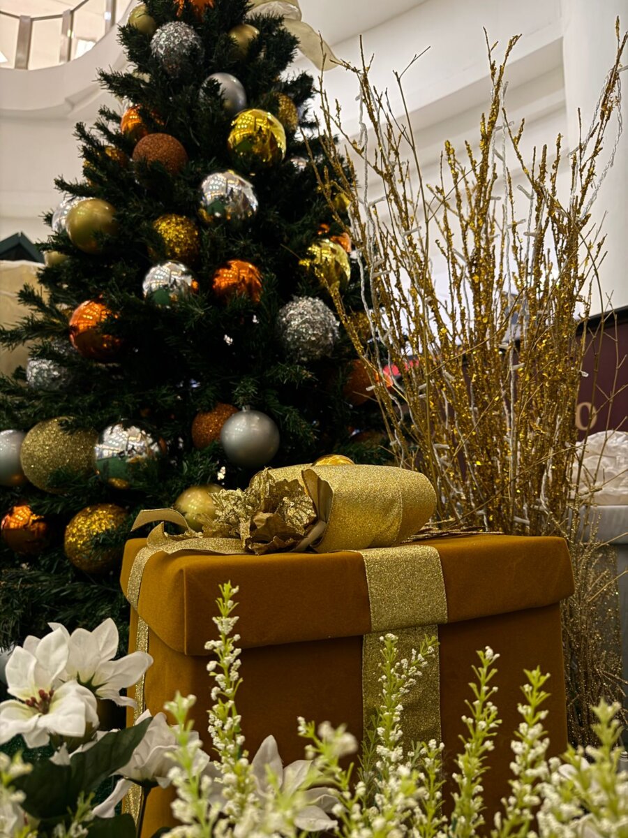 A Magia do Natal Chega ao Shopping West Plaza com a Parada Natalina e a Chegada do Papai Noel